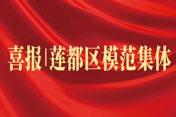 喜報丨浙江中立建設(shè)榮獲蓮都區(qū)“模范集體”稱號！